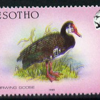 Lesotho 1988 Birds 5s Spurwing Goose minor colour shift of black & yellow resulting in double beak and general blur unmounted mint (as SG 793)*