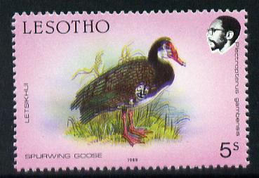 Lesotho 1988 Birds 5s Spurwing Goose minor colour shift of black & yellow resulting in double beak and general blur unmounted mint (as SG 793)*