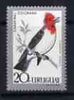 Uruguay 1962 Red-Crested Cardinal Bird 20c unmounted mint, SG 1209