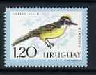 Uruguay 1962 Great Kiskadee 1p20 unmounted mint, SG 1213