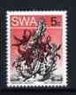 South West Africa 1973 Succulent - Caralluma lugardii 5c ordinary paper unmounted mint, SG 259