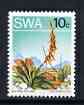 South West Africa 1973 Succulent - Gasteria pillansii 10c P14 x 13.5 unmounted mint, SG 249b