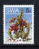 South West Africa 1973 Succulent - Caralluma lugardii 5c P14 x 13.5 unmounted mint, SG 245b