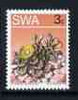 South West Africa 1973 Succulent - Titanopsis schwantesii 3c P14 x 13.5 unmounted mint, SG 243b