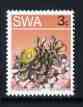 South West Africa 1973 Succulent - Titanopsis schwantesii 3c P14 x 13.5 unmounted mint, SG 243b