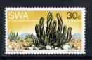 South West Africa 1973 Succulent - Euphorbia virosa 30c P13.5 x 14 unmounted mint, SG 254a