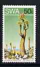 South West Africa 1973 Succulent - Pachypodium namaquanum 50c P13.5 x 14 unmounted mint, SG 255a