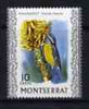 Montserrat 1970-74 Bananaquit 10c on glazed paper unmounted mint, SG 247a
