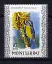 Montserrat 1970-74 Bananaquit 10c on glazed paper unmounted mint, SG 247a