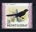 Montserrat 1970-74 Smooth-Billed Ani 15c on glazed paper unmounted mint, SG 248a