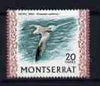 Montserrat 1970-74 Red-Billed Tropic Bird 20c on glazed paper unmounted mint, SG 249a