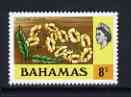 Bahamas 1971 Yellow Elder 8c (CA upright wmk def set) unmounted mint, SG 366*