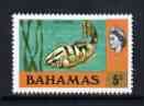 Bahamas 1971 Grouper Fish 5c (CA upright wmk def set) unmounted mint, SG 363*