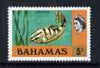 Bahamas 1972 Grouper Fish 5c (CA s/ways wmk definitive set) unmounted mint, SG 395