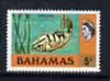 Bahamas 1978 Grouper Fish 5c (no wmk def set) unmounted mint, SG 519