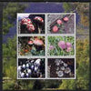 Tatarstan Republic 2003 Fungi perf sheetlet containing set of 6 values unmounted mint