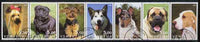 Udmurtia Republic 2000 Dogs perf set of 7 values complete fine cto used