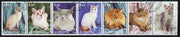 Mordovia Republic 2000 Domestic Cats perf set of 7 values complete fine cto used