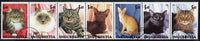 Ingushetia Republic 2000 Domestic Cats perf set of 7 values complete fine cto used