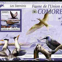 Comoro Islands 2009 Sea Birds perf s/sheet unmounted mint Yv 202, Mi BL 523