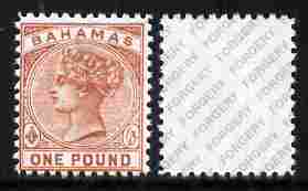 Bahamas 1884 QV £1 venetian-red,,'Maryland' perf forgery 'unused', as SG 57 - the word Forgery is either handstamped or printed on the back and comes on a presentation card with descriptive notes