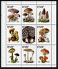Dnister Moldavian Republic (NMP) 2000 Fungi perf sheetlet containing 9 values unmounted mint