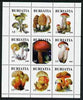 Buriatia Republic 2000 Fungi perf sheetlet containing 9 values unmounted mint