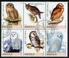 Angola 2000 Owls perf set of 6 very fine cto used