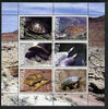 Tatarstan Republic 2003 Tortoises perf sheetlet containing set of 6 values cto used