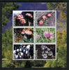 Tatarstan Republic 2003 Fungi perf sheetlet containing set of 6 values cto used