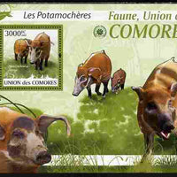 Comoro Islands 2009 Bush Pigs perf s/sheet unmounted mint Yv 207, Mi BL 527