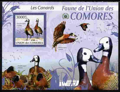 Comoro Islands 2009 Ducks perf s/sheet unmounted mint Yv 208, Mi BL 515