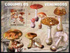 Guinea - Bissau 2009 Poisonous Mushrooms perf s/sheet unmounted mint Yv 454