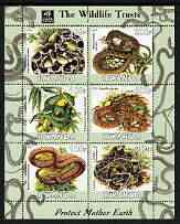 Congo 2003 Royal Society for Protection of Birds perf sheetlet containing set of 6 values (Parrots) unmounted mint