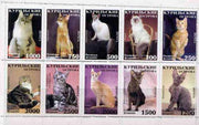 Kuril Islands 1996 Cats set of 10 values unmounted mint
