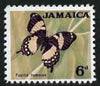 Fiji 1968 Coralfish 6d (with Value omitted),'Maryland' perf 'unused' forgery, as SG 376 - the word Forgery is either handstamped or printed on the back and comes on a presentation card with descriptive notes