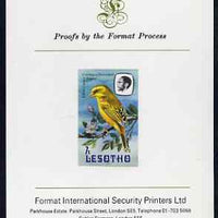Lesotho 1982 Cape Robin Chat 6s imperf proof mounted on Format International proof card (as SG 504)