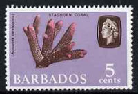 Barbados 1966-69 Rough File Shell 8c (wmk sideways) unmounted mint SG 348