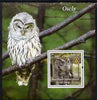 Congo 2004 Owls #2 perf souvenir sheet with Rotary Logo, unmounted mint