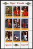 Angola 2009 Golf Grand Slam - Tiger Woods #1 perf sheetlet containing 9 values unmounted mint. Note this item is privately produced and is offered purely on its thematic appeal