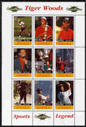 Angola 2009 Golf Grand Slam - Tiger Woods #1 perf sheetlet containing 9 values unmounted mint. Note this item is privately produced and is offered purely on its thematic appeal