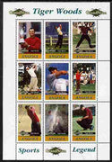 Angola 2009 Golf Grand Slam - Tiger Woods #2 perf sheetlet containing 9 values unmounted mint. Note this item is privately produced and is offered purely on its thematic appeal
