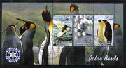 Gambia 2003 Polar Birds perf sheetlet containing 3 values with Rotary logo, fine cto used