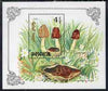 Mongolia 1991 Fungi perf m/sheet unmounted mint, SG MS 2251