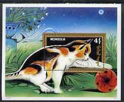Mongolia 1991 Domestic Cats perf m/sheet unmounted mint, SG MS 2284