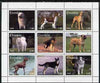 Evenkia Republic 1999 Dogs perf sheetlet containing set of 9 values unmounted mint