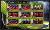 Malawi 2010 Space Shuttle Missions #05 perf sheetlet containing 9 values unmounted mint