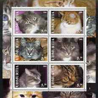 Udmurtia Republic 2001 Domestic Cats perf sheetlet containing set of 6 values unmounted mint
