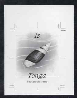 Tonga 1984-85 Chaste Mitre Shell 1s (from self adhesive Marine Life def set) B&W photographic proof, scarce thus, as SG 865