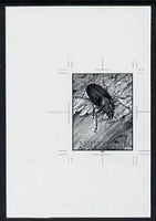Tonga - Niuafo'ou 1991 Adult in Treetrunk 2p50 (from Longhorned Beetle set) B&W photographic Proof as SG 130